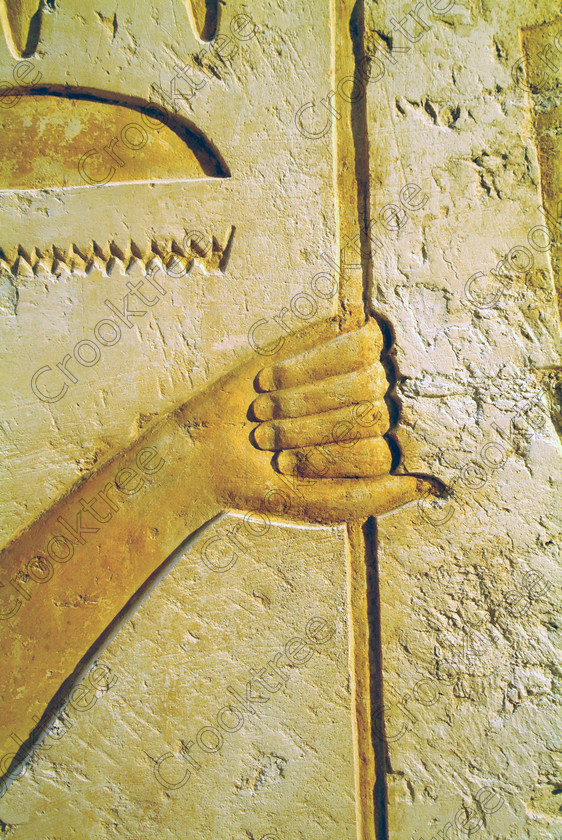 Egyptian Tomb Art EG051905JHP 
 Temple Merneptah Interior Bas Relief Detail Hand Gripping Staff Closeup Photo of an Egyptian Pharaoh who reigned around 1212-1202BC, is on the West Bank of the Nile at Luxor and was recently opened not long before these photos were taken in 2005. It is a mixture of open air and covered museum exhibits with some remains of the temple area with column bases. Some of the coloured wall reliefs are exquisite and because of the natural light available were easily photographed despite being inside. There is also a replica of the famous Israeli Stele, the original being in the Cairo Museum. This is a visit that would have to made outwith the usual West Bank package tour although easily arranged and is easily found next to the Ramasseum. 
 Keywords: Egypt, Luxor, Thebes, West Bank, River Nile, temple, Merneptah, Merenptah, pharaoh, 1212BC, upright, history, ancient, Egyptian, antiquity, archaeology, Egyptology, restoration, wall, relief, detail, hand, fingers, thumb, gripping, staff, paintings, colourful, colorful, colours, colors