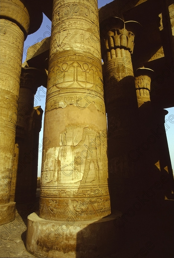 Kom Ombo EG204319jhp 
 Kom Ombo sunny Temple Nile Egypt carved column large capitals floral hall of this beautiful ruined temple just north of Aswan and a regular visit on all Nile Cruises, was principally built by Ptolemy V of Silsilah sandstone. Dedicated to two Gods  Sobek, the crocodile and Horus, the falcon and although it has been damaged over the years, mainly through slipping into the River Nile and some structural damage owing to earthquakes, there are still some wonderful colourful reliefs of the most detailed and delicate style. This trip was special for me in that I got special permission to climb up the back of the temple on the hill behind and match a view I had on a Victorian albumen print; the local Police Chief had to be involved and thanks to a good Kuoni Guide he agreed for me to be accompanied by a policemen as security was still a big thing after the 1997 attacks at Luxor. Unfortunately in the excitement I had forgot to adjust my ASA rating for Velvia and took the photos based on 400ASA-the film maws later pushed to 200asa so there is some increase in grain structure, not a feature of Velvia generally. On this visit some cleaning and restoration was being done to the many painted bas reliefs on the columns-hence the scaffolding and the sun umbrella but the bonus was the reliefs looked particularly vibrant. The time of day also meant some of the museum blocks with deep cut carvings were ideal to photograph as the shadows gave greater emphasis to the excellent cut marks of some iconic hieroglyphic symbols. 
 Keywords: Egypt, East Bank, River Nile, Kom Ombo, Temple, summer, morning, hypostyle hall, pylon, columns, bas, reliefs, restoration, cleaning, conservation, coloured, colored, colours, colors, Silsilah, sandstone, landscape, upright, history, archaeology, ancient, Egyptian, Egyptology, crocodiles, Ptolemaic, Ptolemy, Horus, Haroeris, Harwer, Sobek, Hathor, carvings, detailed, delicate, beautiful, fine, Velvia, slide, film, scans, scan, scanned, 35mm, Nikon, FM, manual, July, 2000