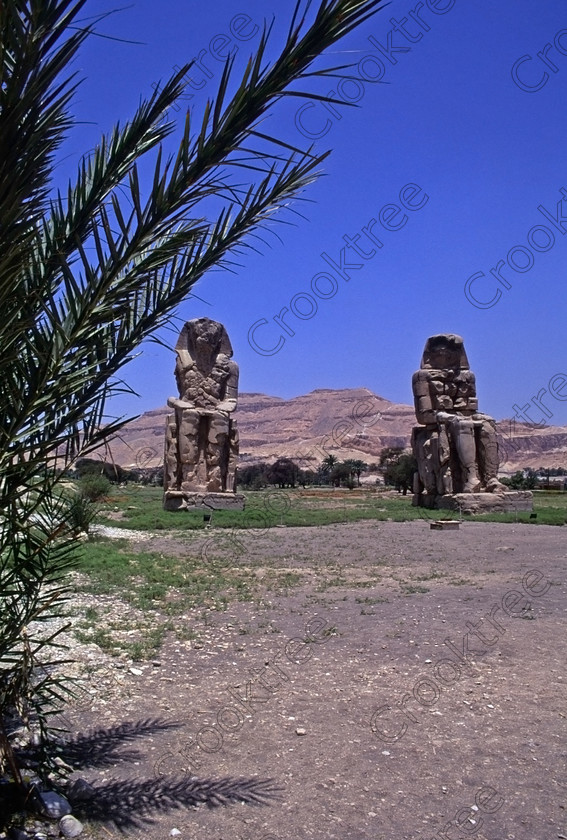 Colossi Memnon EG206427jhp 
 Colossi Memnon statues seated summer Luxor Egyptian palm framed blue sky that are the most famous remains of Amenhotep's mortuary temple on the northern side of the approach road for the Valley of the Kings, Queens and all the other main West Bank sites. It is the visitors first site of major impact, not far from the main ticket office but is usually visited as a photo opportunity on leaving - recent excavations of the site are finding many hidden buildings and artefacts as well as defining the whole of the remains of the temple complex. 
 Keywords: Egypt, Egyptian, Luxor, West, Bank, Thebes, Theban, hills, fields, River, Nile, landscape, upright, history, archaeology, ancient, Egyptology, Amenhotep, Amenophis, Pharaoh, Tiye, Queen, Mother, mortuary, temple, Colossi, Memnon, seated, statues, side, panels, Union, Upper, Lower, earthquake, damaged, repairs, Severus, blue, sky, sunny, sunshine, roadside, coachstop, excavations, 2000, July, 35mm, Velvia, slides, film, scanned, scan, camera, Nikon, FM2