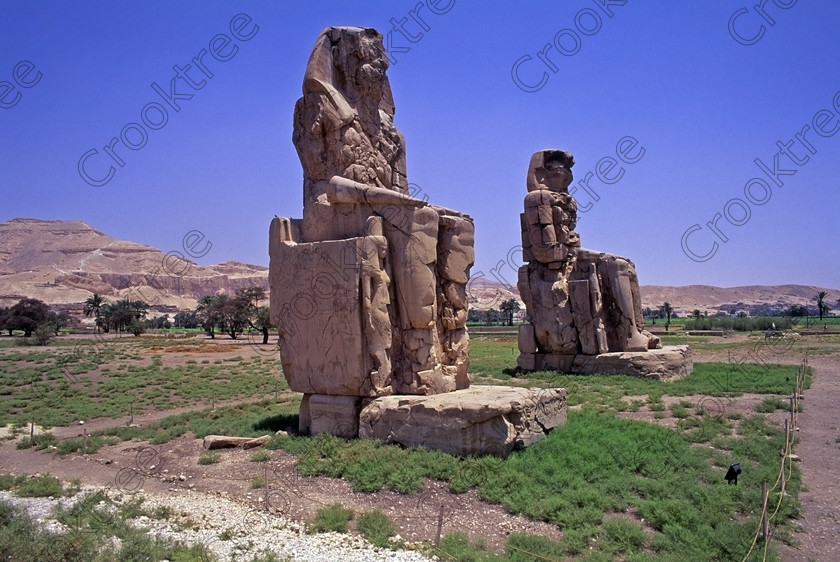 Colossi Memnon EG206422jhp 
 Colossi Memnon Amenhotep statues seated Thebes west bank Egyptian blue sky July sunshine that are the most famous remains of Amenhotep's mortuary temple on the northern side of the approach road for the Valley of the Kings, Queens and all the other main West Bank sites. It is the visitors first site of major impact, not far from the main ticket office but is usually visited as a photo opportunity on leaving - recent excavations of the site are finding many hidden buildings and artefacts as well as defining the whole of the remains of the temple complex. 
 Keywords: Egypt, Egyptian, Luxor, West, Bank, Thebes, Theban, hills, fields, River, Nile, landscape, history, archaeology, ancient, Egyptology, Amenhotep, Amenophis, Pharaoh, Tiye, Queen, Mother, mortuary, temple, Colossi, Memnon, seated, statues, side, panels, Union, Upper, Lower, earthquake, damaged, repairs, Severus, blue, sky, sunny, sunshine, roadside, coachstop, excavations, 2000, July, 35mm, Velvia, slides, film, scanned, scan, camera, Nikon, FM2